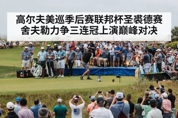 高尔夫美巡季后赛联邦杯圣裘德赛舍夫勒力争三连冠上演巅峰对决